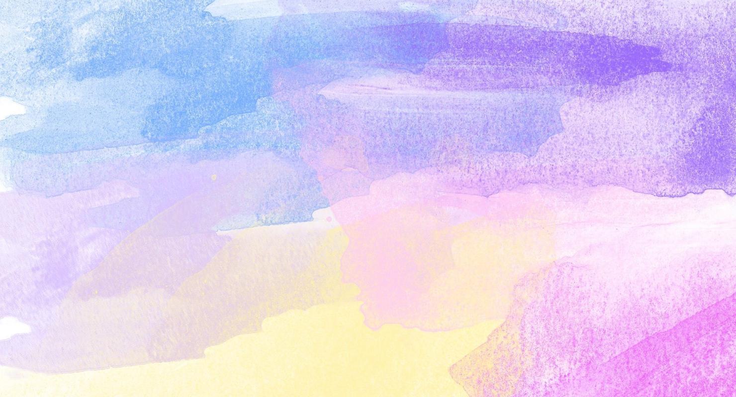 Bachelor’s degree in web and mobile development: training, prices, objectives