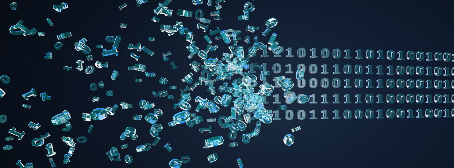 UX/UI Designer
