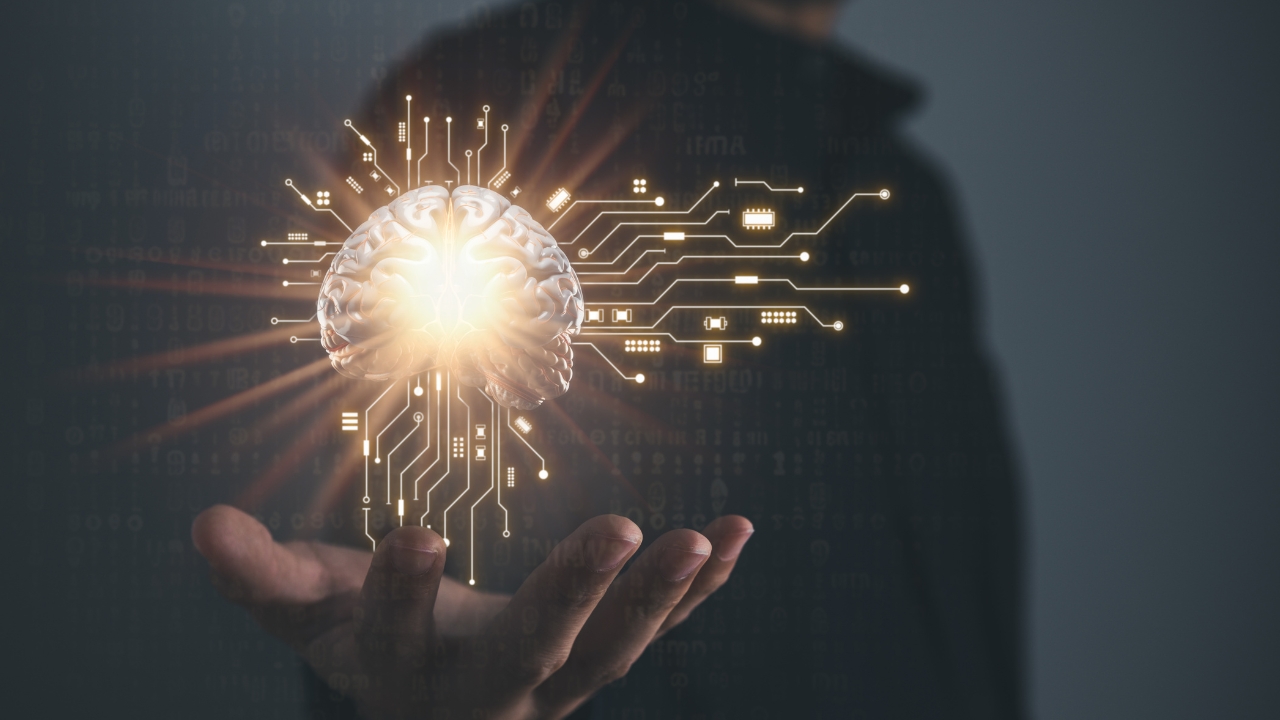Bachelor’s degree in Artificial Intelligence