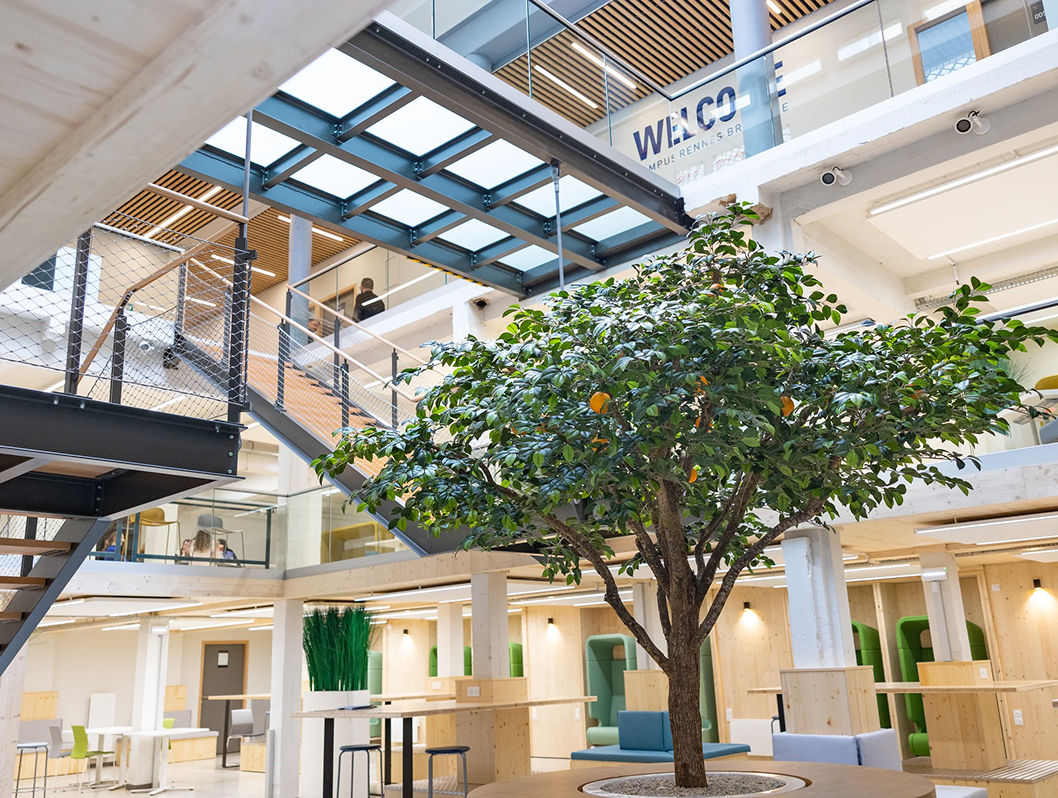 Photo de l’intérieur rénové du campus de Rennes de l’école de commerce ECE